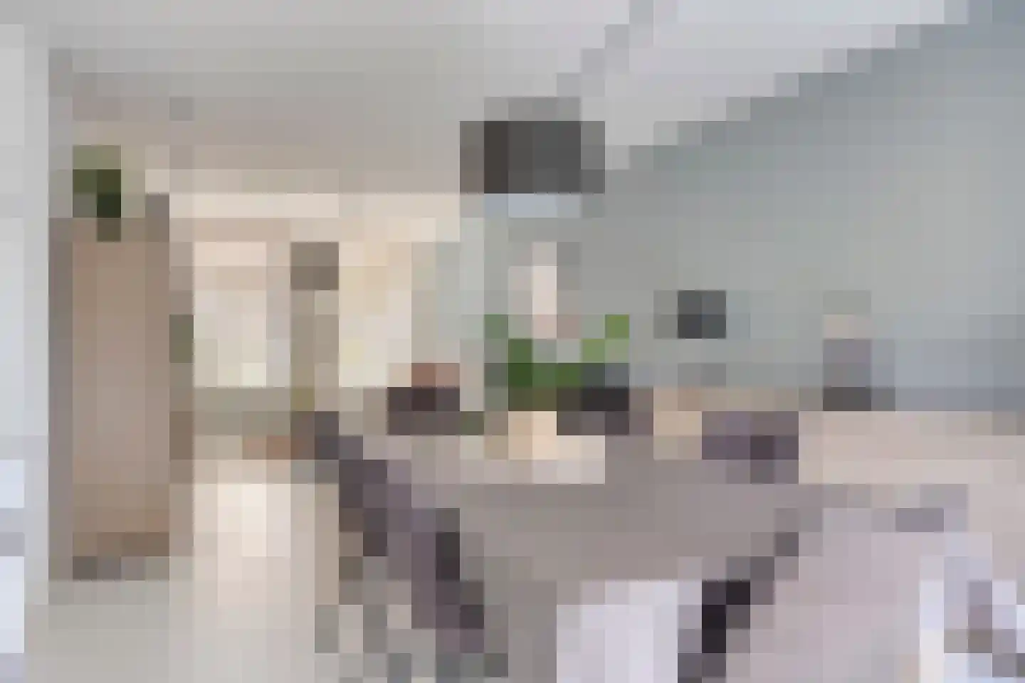 De Droge Kreek 13 Hulst thumbnail 12