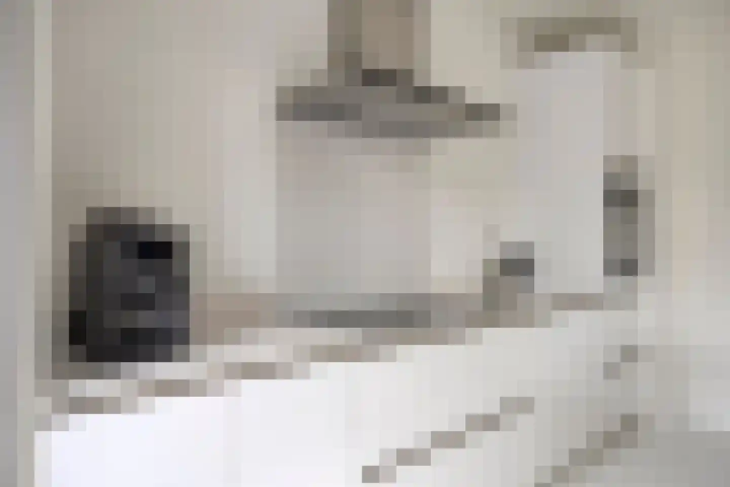 De Droge Kreek 13 Hulst thumbnail 20