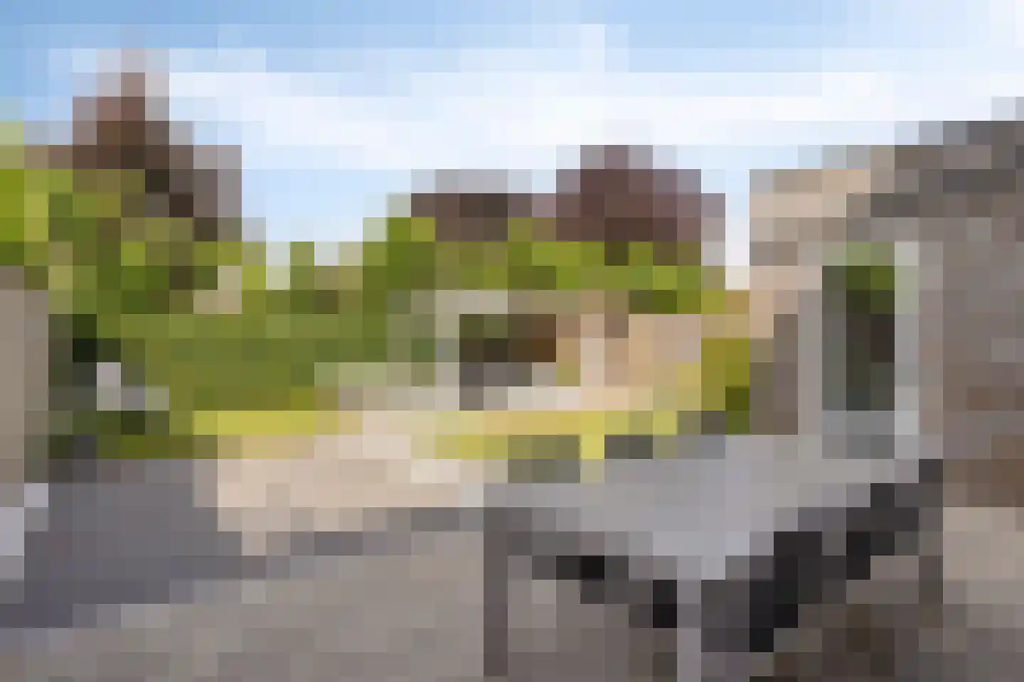 De Droge Kreek 13 Hulst thumbnail 39