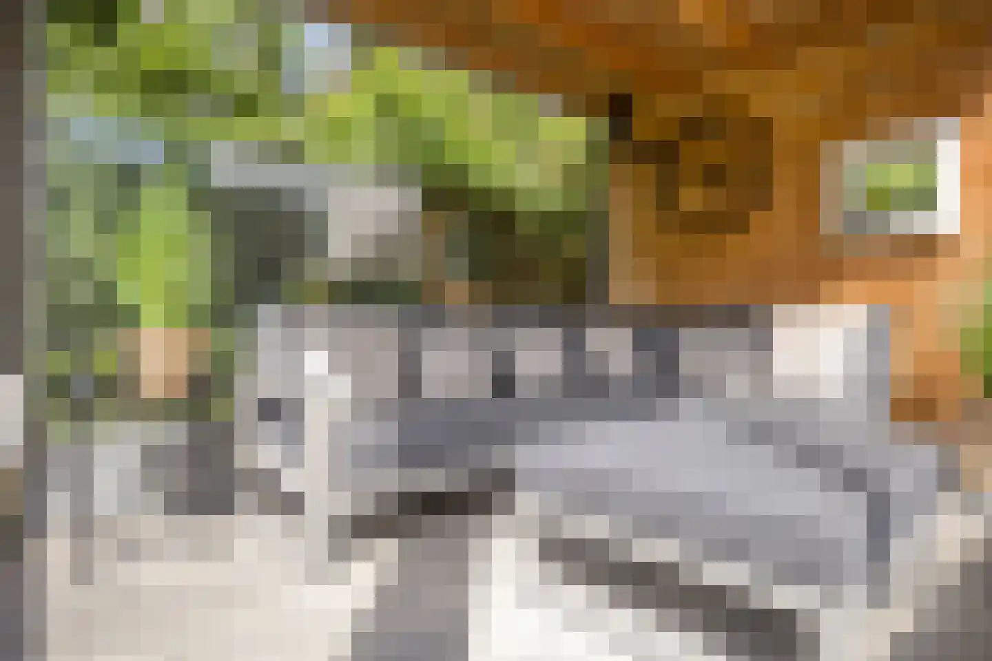 De Droge Kreek 13 Hulst thumbnail 4
