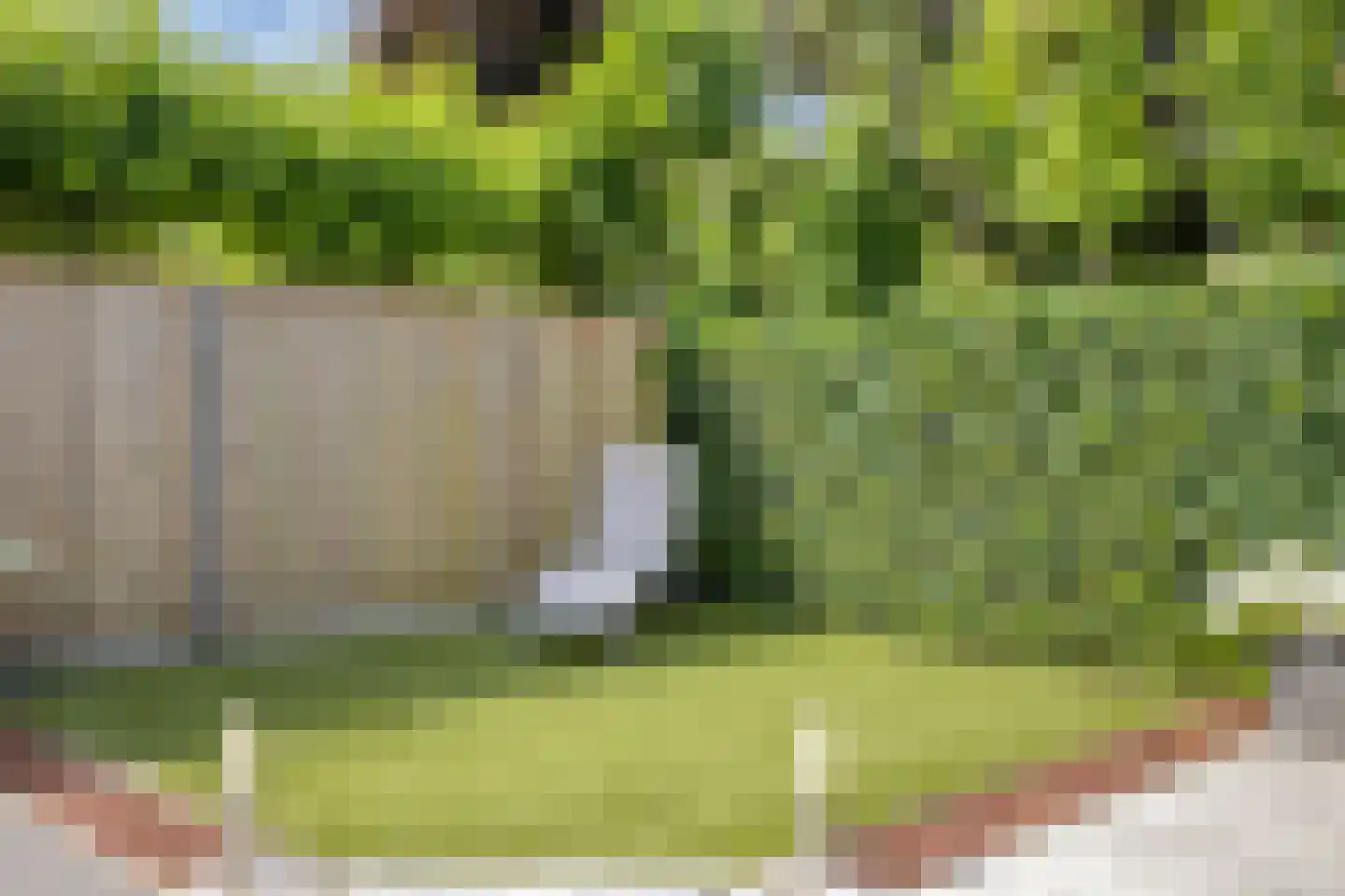 De Droge Kreek 13 Hulst thumbnail 41