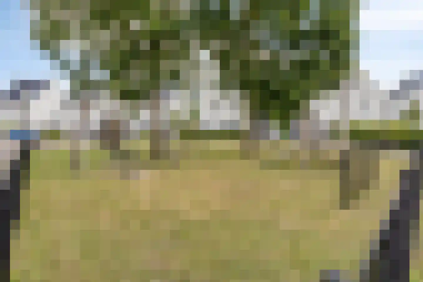 De Droge Kreek 13 Hulst thumbnail 47