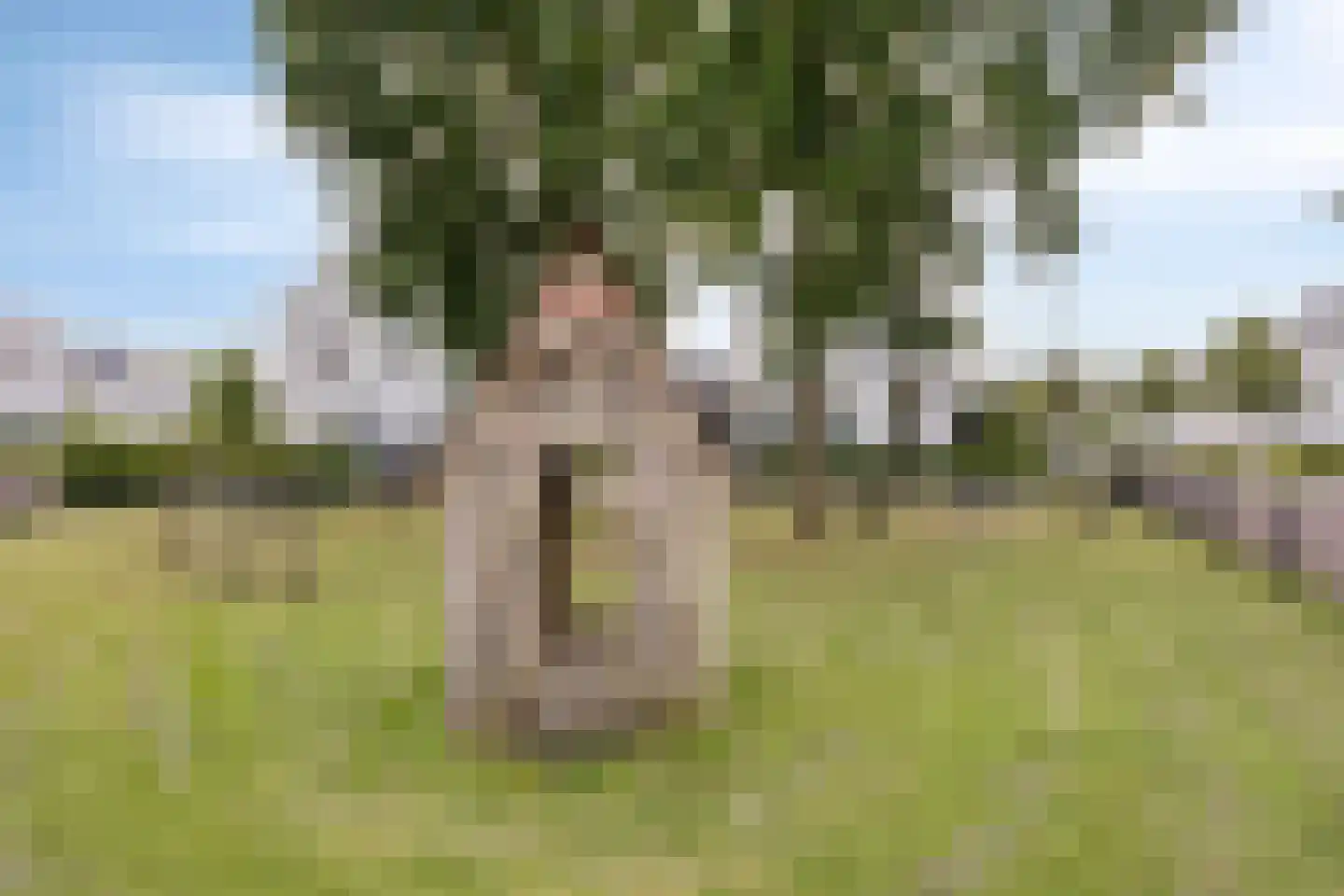 De Droge Kreek 13 Hulst thumbnail 48