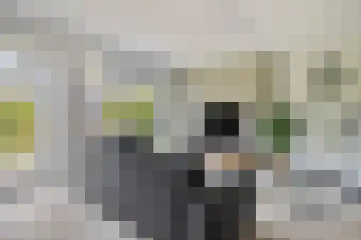 De Droge Kreek 19 Hulst thumbnail 10