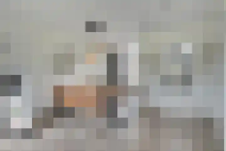 De Droge Kreek 19 Hulst thumbnail 12