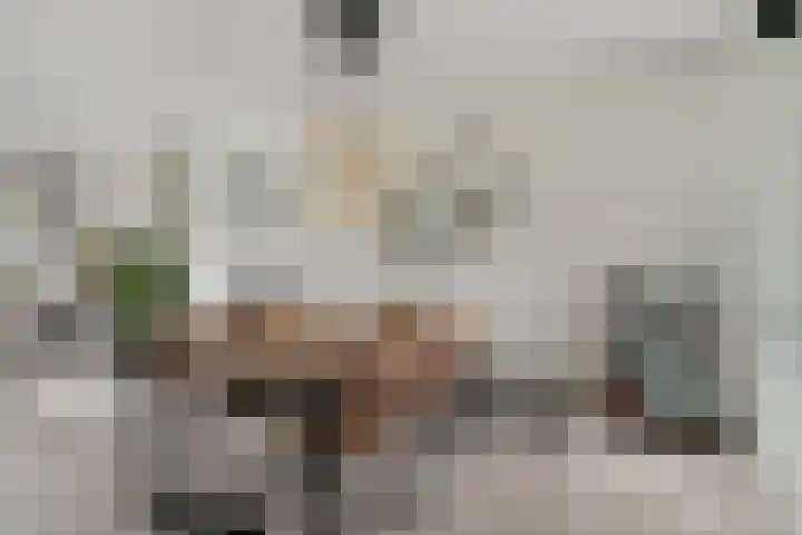 De Droge Kreek 19 Hulst thumbnail 14