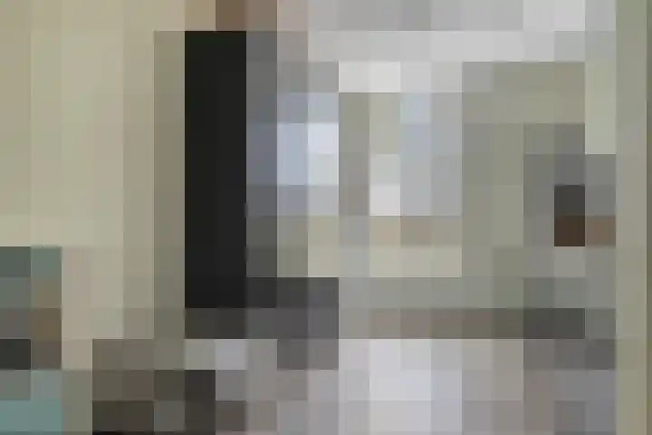 De Droge Kreek 19 Hulst thumbnail 15