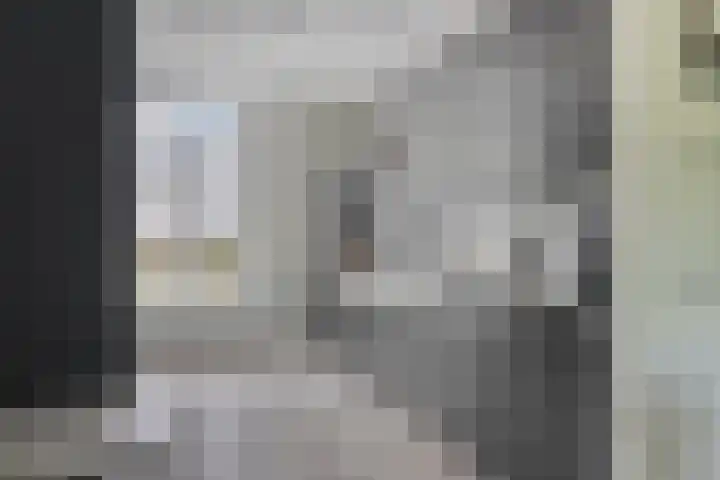 De Droge Kreek 19 Hulst thumbnail 16