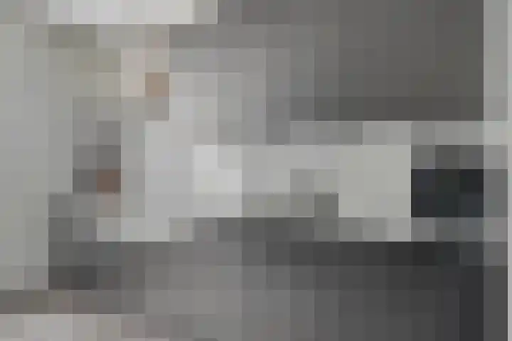 De Droge Kreek 19 Hulst thumbnail 17