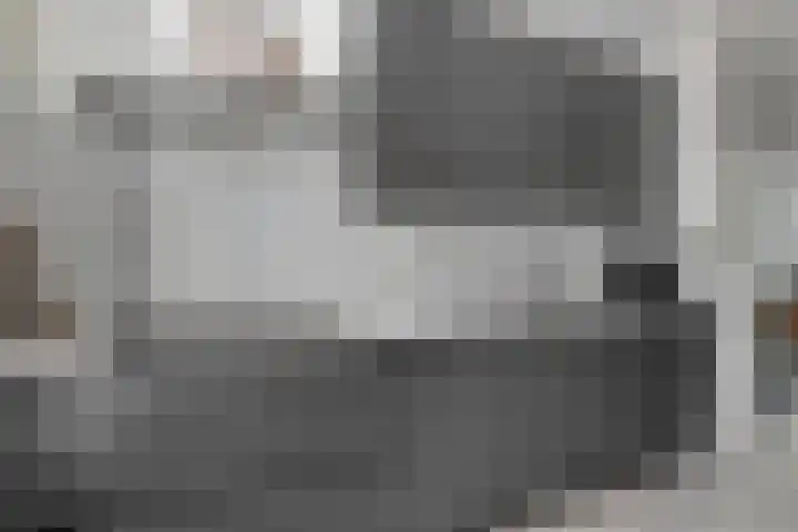 De Droge Kreek 19 Hulst thumbnail 18
