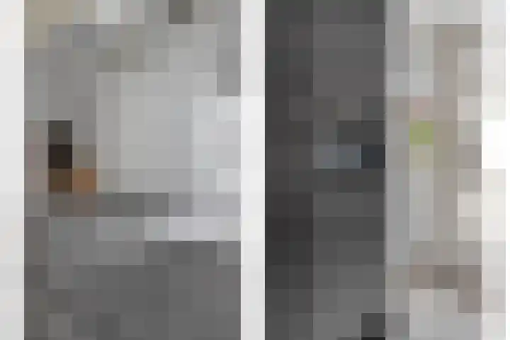 De Droge Kreek 19 Hulst thumbnail 19