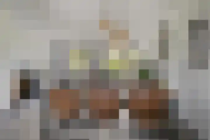 De Droge Kreek 19 Hulst thumbnail 20