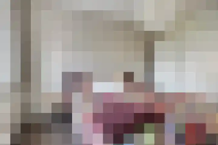 De Droge Kreek 19 Hulst thumbnail 23