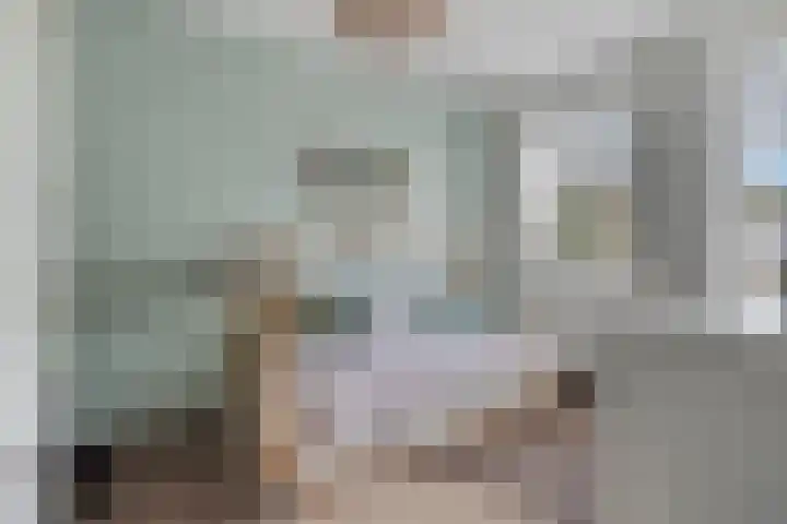 De Droge Kreek 19 Hulst thumbnail 24