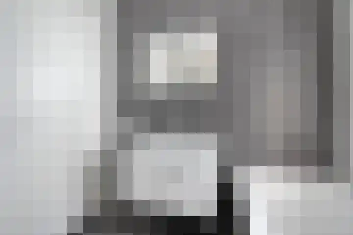 De Droge Kreek 19 Hulst thumbnail 28