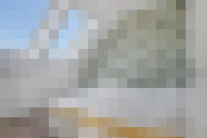 De Droge Kreek 19 Hulst thumbnail 30