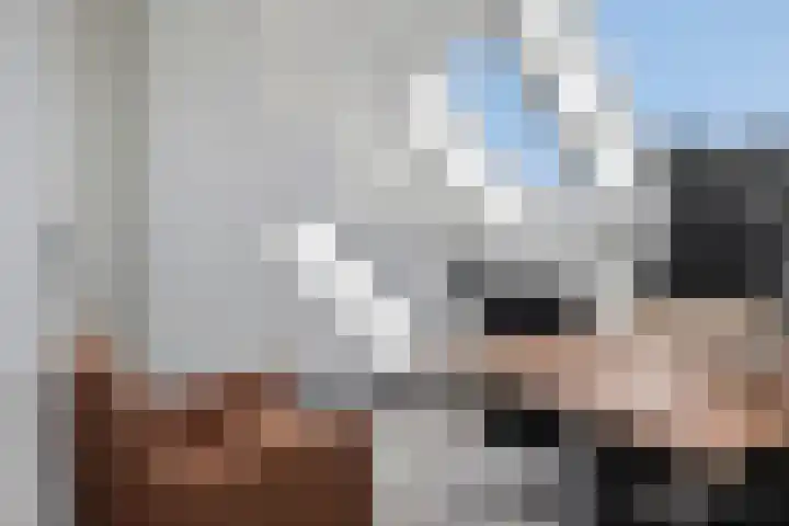 De Droge Kreek 19 Hulst thumbnail 31