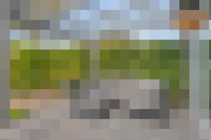 De Droge Kreek 19 Hulst thumbnail 32