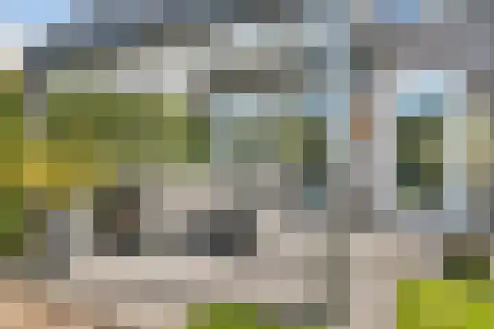 De Droge Kreek 19 Hulst thumbnail 33
