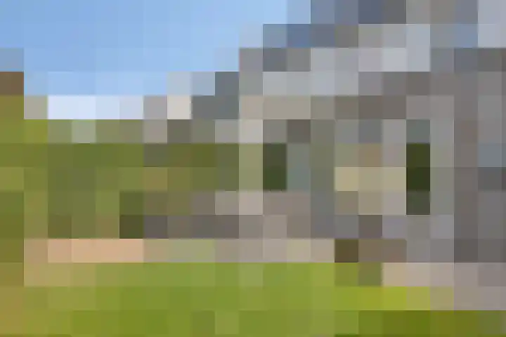 De Droge Kreek 19 Hulst thumbnail 34