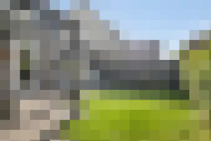 De Droge Kreek 19 Hulst thumbnail 36