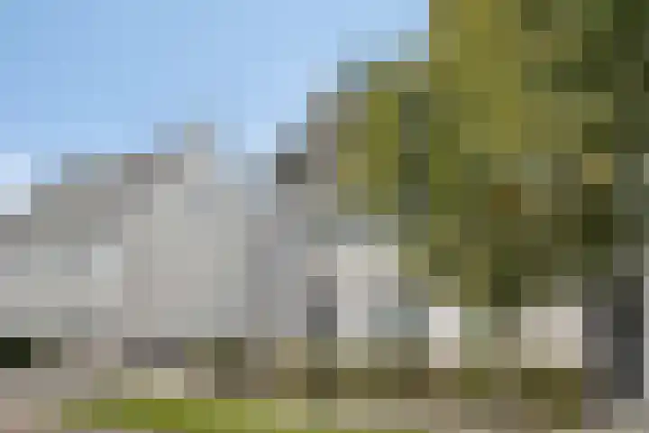 De Droge Kreek 19 Hulst thumbnail 39