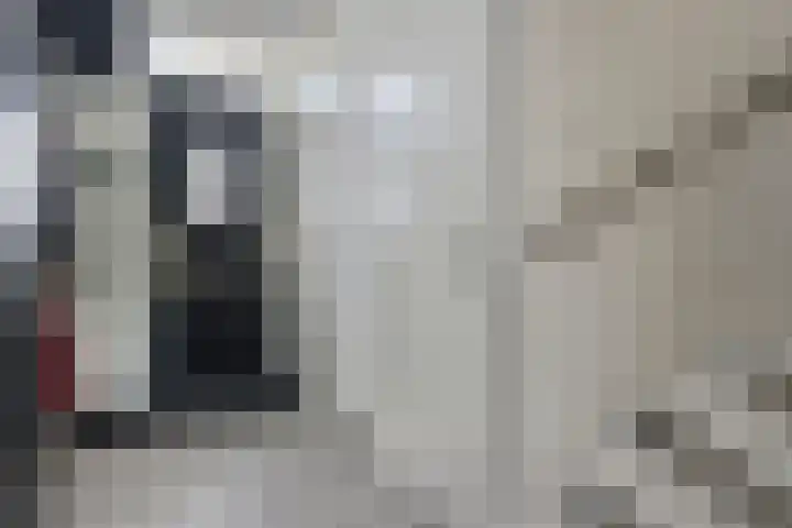 De Droge Kreek 19 Hulst thumbnail 5