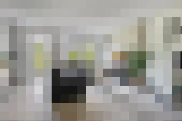 De Droge Kreek 19 Hulst thumbnail 7