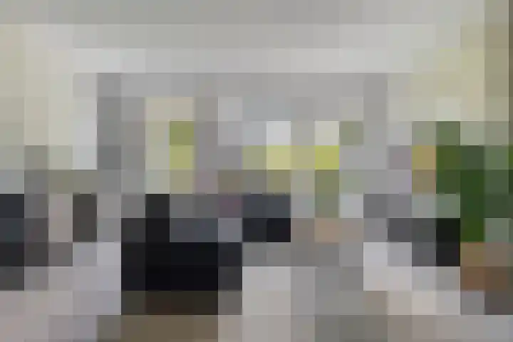 De Droge Kreek 19 Hulst thumbnail 8