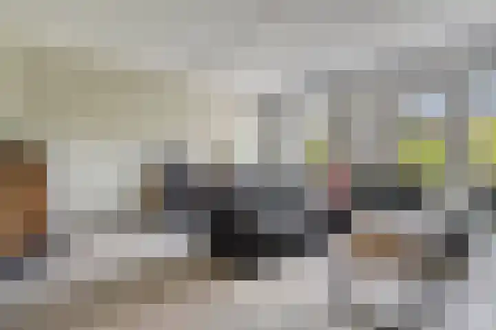 De Droge Kreek 19 Hulst thumbnail 9