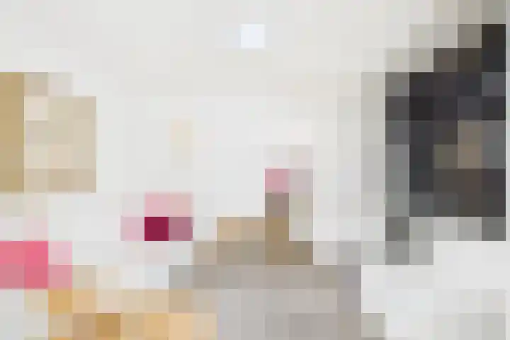 De Droge Kreek 25 Hulst thumbnail 10
