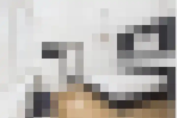 De Droge Kreek 25 Hulst thumbnail 14
