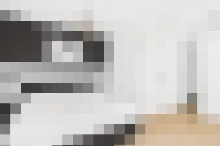 De Droge Kreek 25 Hulst thumbnail 15