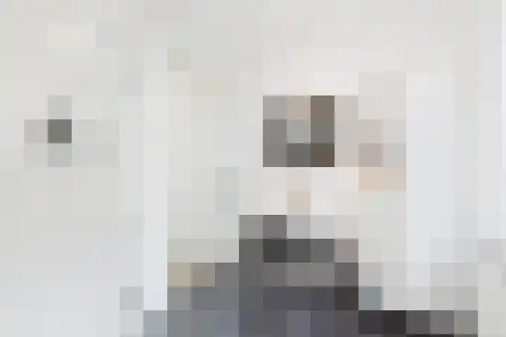 De Droge Kreek 25 Hulst thumbnail 17