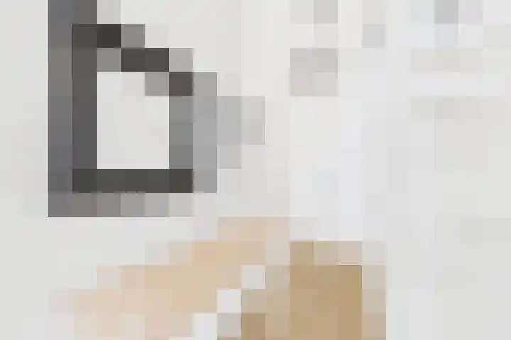 De Droge Kreek 25 Hulst thumbnail 20