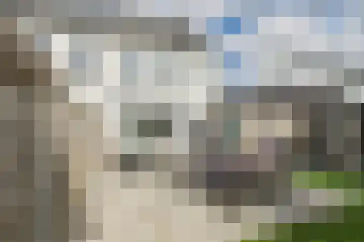 De Droge Kreek 25 Hulst thumbnail 23