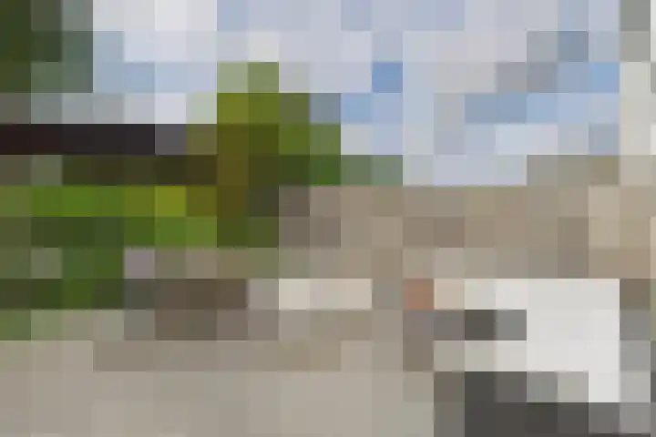 De Droge Kreek 25 Hulst thumbnail 24