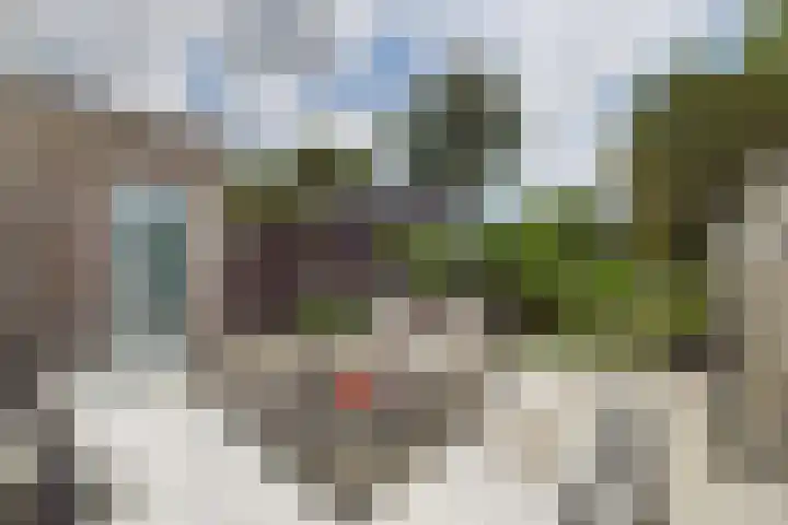 De Droge Kreek 25 Hulst thumbnail 25
