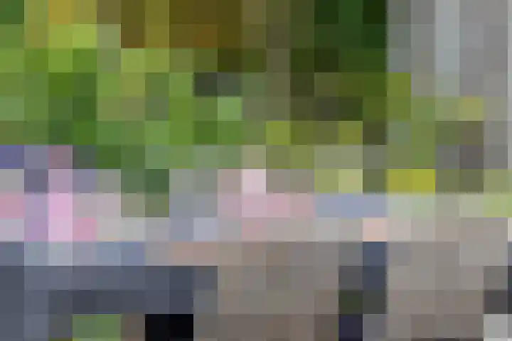 De Droge Kreek 25 Hulst thumbnail 29