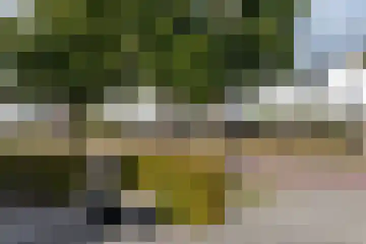 De Droge Kreek 25 Hulst thumbnail 30