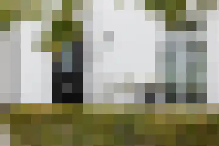 De Droge Kreek 25 Hulst thumbnail 32