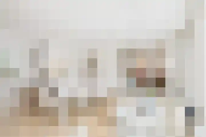 De Droge Kreek 25 Hulst thumbnail 5