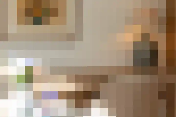 De Droge Kreek 25 Hulst thumbnail 6