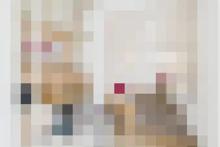 De Droge Kreek 25 Hulst thumbnail 7