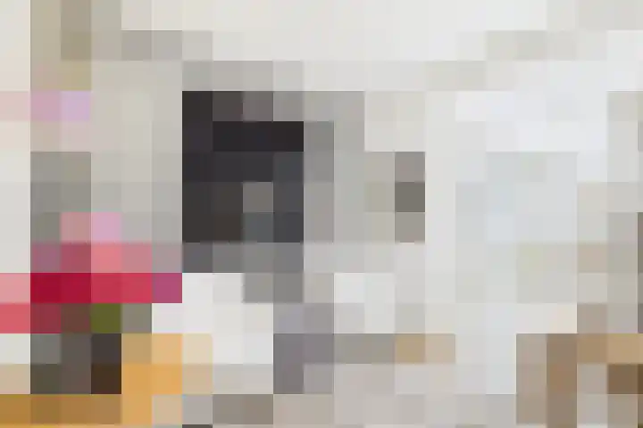 De Droge Kreek 25 Hulst thumbnail 8