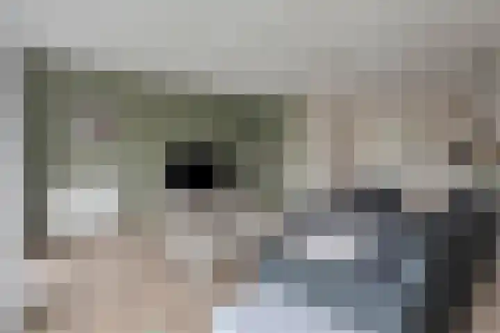 De Droge Kreek 3 Hulst thumbnail 10