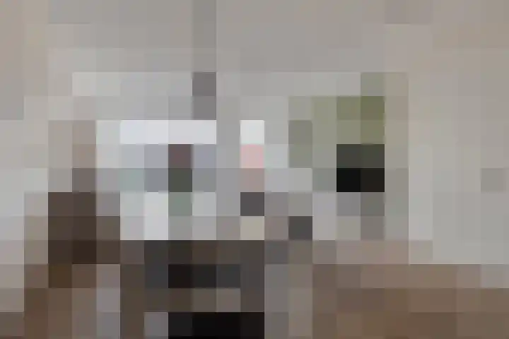 De Droge Kreek 3 Hulst thumbnail 12