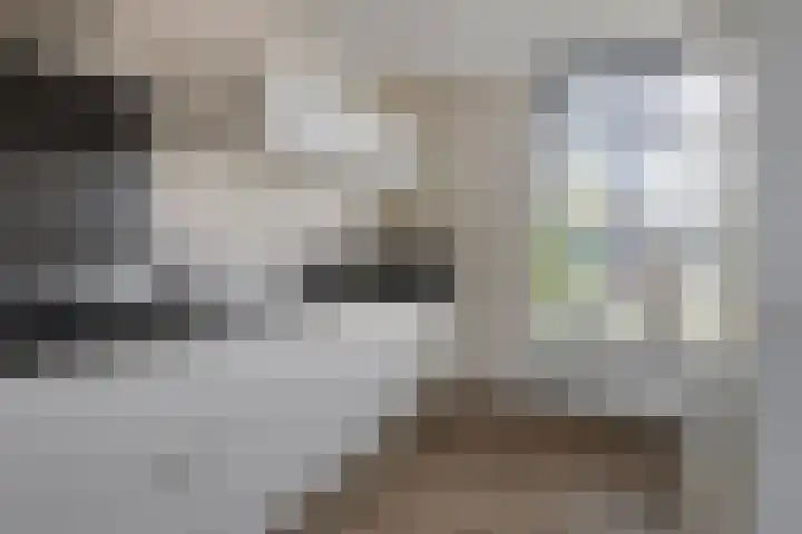 De Droge Kreek 3 Hulst thumbnail 13