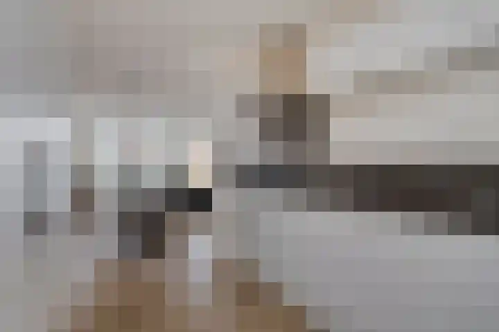 De Droge Kreek 3 Hulst thumbnail 16