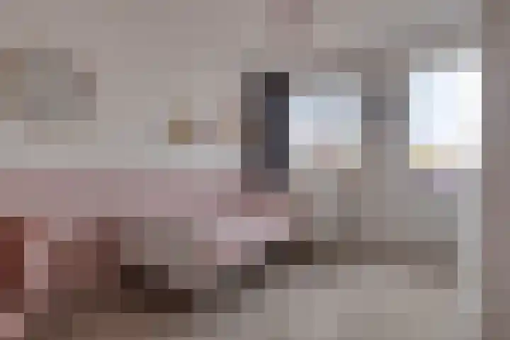 De Droge Kreek 3 Hulst thumbnail 18